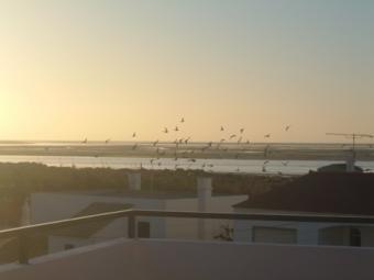 Sea shore villa for sale Olhao
